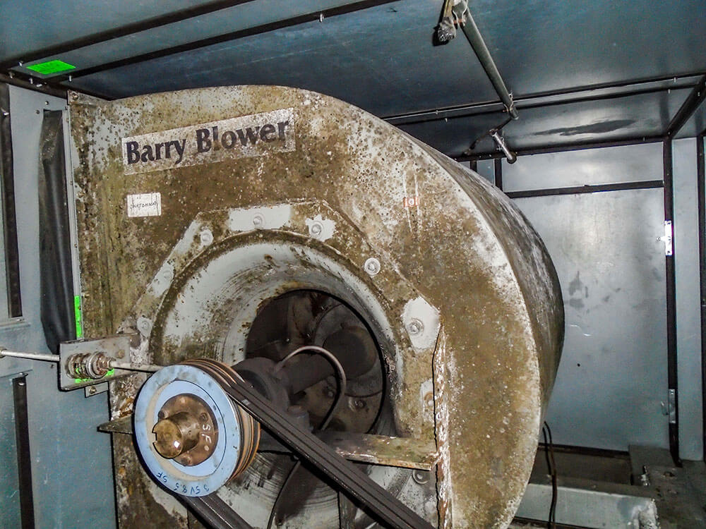Barry Blower with Mold