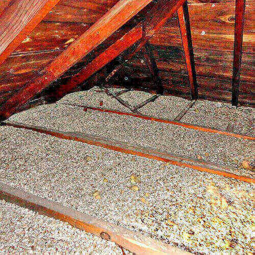 Vermiculite Removal
